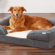 Refresh Your Nest Sale | Chewy